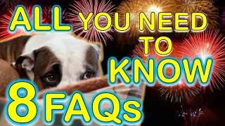 How to Prepare Your Dog for Fireworks - 8 FAQs