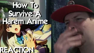 How to Survive a Harem Anime - Public Service Anime REACTION