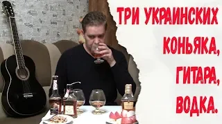 Три украинских коньяка, гитара, водка.