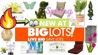 Big Lots Spring Decor #biglots #windowshopper #spring2022