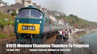 Summer Saturday Railtours.D1015 Western Champion Thunders To Paignton Airshow 01.06.24 - 4K