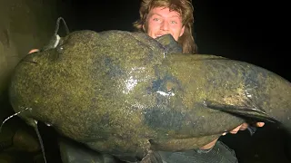 Bank Fishing for ENORMOUS FLATHEAD CATFISH! (River Fishing)