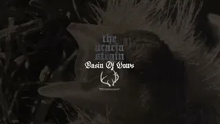 The Acacia Strain - basin of vows (feat. ethan mccarthy) (Visualizer)