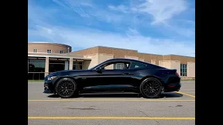 Installed Eibach Sportline Springs on My Mustang GT.  How hard can it be?