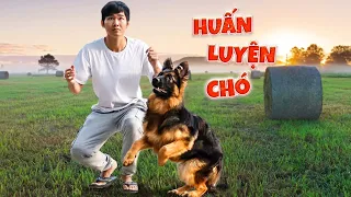 Quang BM | Một Ngày Huấn Luyện Becgiê 🐕 | Training For Becgie Dog