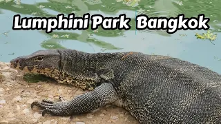 Lumphini Park In Bangkok, Thailand