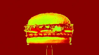 Burger King | The Moldy Whopper