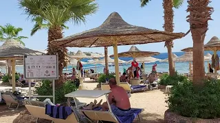 Пляж отеля Sierra Sharm El Sheikh/Savoy сентябрь 2021❤