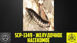 SCP-1349 - Желудочное насекомое      【СТАРАЯ ОЗВУЧКА】