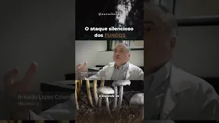 O ATAQUE SILENCIOSO DOS FUNGOS | Candidíase de repetição 😱🍄