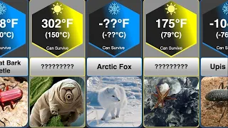 Animals That Can Survive Extreme Temperatures (Hot & Cold)