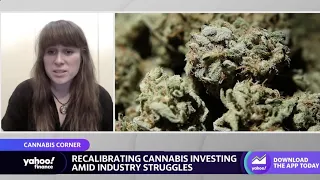 Cannabis: Breaking down struggle to legalize in the U.S.