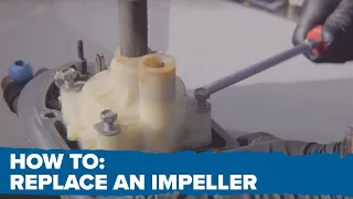 How to Replace a Water Pump Impeller | F90, F115, & VF115 | DIY Yamaha Outboard Maintenance