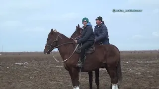 Жетісай ауданы Есенбеков Айтуған ақсақалдың 70 жасына  орай елден бата алу той көкпары 24 02 2024