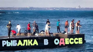 ОДЕССА.АРКАДИЯ.СЕЗОН РЫБАЛКИ