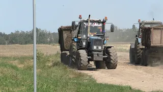 Removing manure to the field with MTZ TROPIC 1221.2, MTZ 2022.3 and MTZ 1221v.2