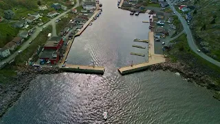 Petty Harbour by Drone