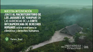 Intervención junto al Macroterritorio de los Jaguares de Yuruparí sobre REDD+ en la Corte IDH