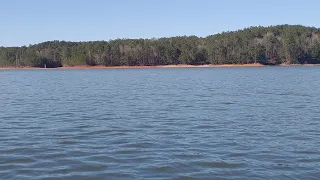 Catfish Dave Went Down To Georgia! (Lake Allatoona Catfish Challenge)