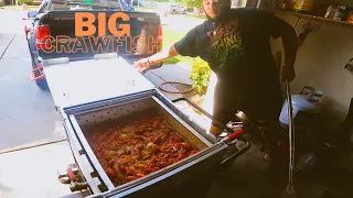 The Largest Crawfish of the Season Cooked to Perfection!