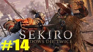 Sekiro Shadows Die Twice прохождение часть 14 Храм Сэмпо, Гора Конго, вход в заброшенное подземелье