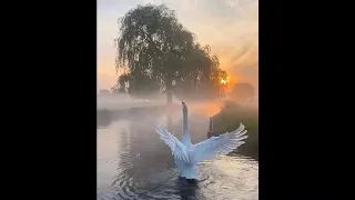 Продираюсь к Тебе//Оксана Полищук//Маргарита Коломийцева