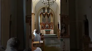 Концерт органной музыки в греко-католическом храме в Ялте