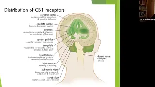 Medicinal Cannabis in Treating Symptoms of Lung Cancer