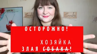 Не заселяйтесь в эту квартиру!!! / неадекватный арендодатель