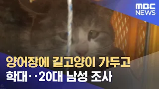 양어장에 길고양이 가두고 학대‥20대 남성 조사 (2022.03.22/뉴스투데이/MBC)