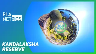 VR 360 | Kandalaksha Reserve