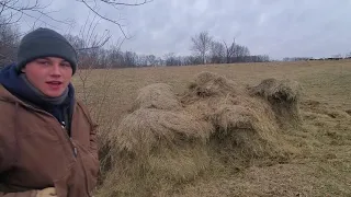 Part 2, did the cows heal the erosion ditch filled with bales?