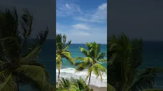 Лучшие пляжи в мире! Гренада. Petit Anse! #лучшее #пляжи #карибы #bestbeaches