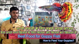 Best food for Guppy fish - Baby Guppies- For colour & Fast Growth 100% Guarantee