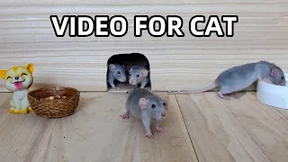 Cat Tv-Mice in The Jerry Mouse Hole-Video For Cats To Watch~6Hours