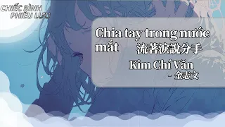 【Vietsub + Pinyin】Chia tay trong nước mắt  - Kim Chí Văn | 流著淚說分手 - 金志文