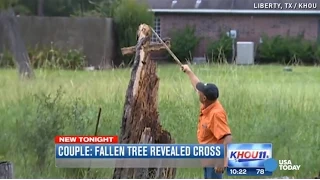 Cross and Jesus appear in downed tree, family says