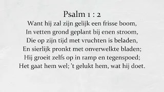 Psalm 1 : 2 Want hij zal zijn gelijk een frisse boom Nieuw