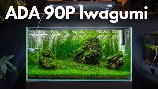 IWAGUMI Aquarium Vorstellung! ADA 90P