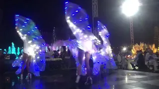 Светодиодные крылья Лунная ночь/ LED wings "Moonlight Night"