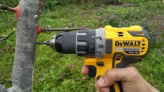 grafting plum drill. Graft drill