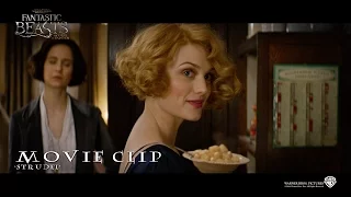 Fantastic Beasts And Where To Find Them ['Strudel' Movie Clip in HD (1080p)]