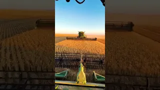 Farming Simulator vs Real Life (2023)