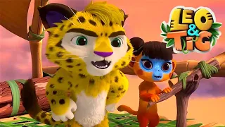 Leo and Tig 🦁 A Meeting with Tasmanian ✨ Best episodes 🐯 Funny Family Animated Cartoon for Kids