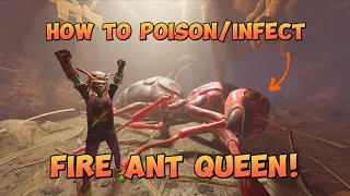 How to Poison/Infect the Fire Ant Queen!