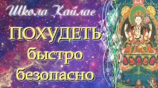 Как похудеть быстро и безопасно Секреты которые ты не знаешь Андрей Дуйко