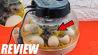 KEBONNIXS 12 Egg Incubator Unboxing and Review