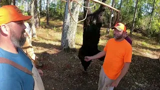 North Carolina Bear Hunting With Dogs