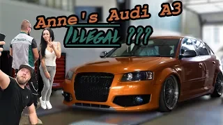 Motor Mafia //Anne's Audi A3 Illegal???
