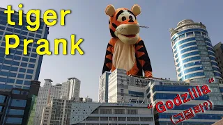 Tiger Prank "고질라" in South Korea